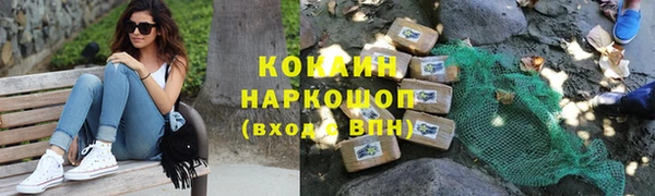 MESCALINE Бородино