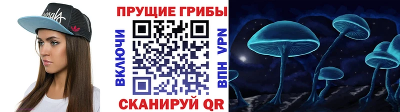 Галлюциногенные грибы Psilocybine cubensis  Купить закладки  Шлиссельбург 